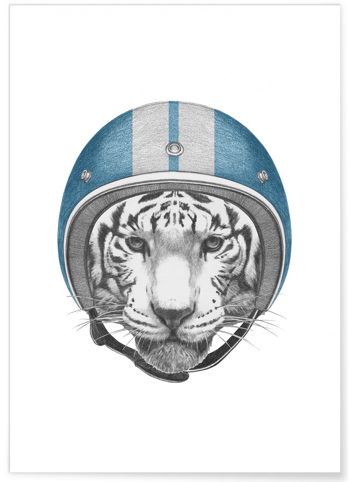Poster Tigre blanc, L'AFFICHERIE