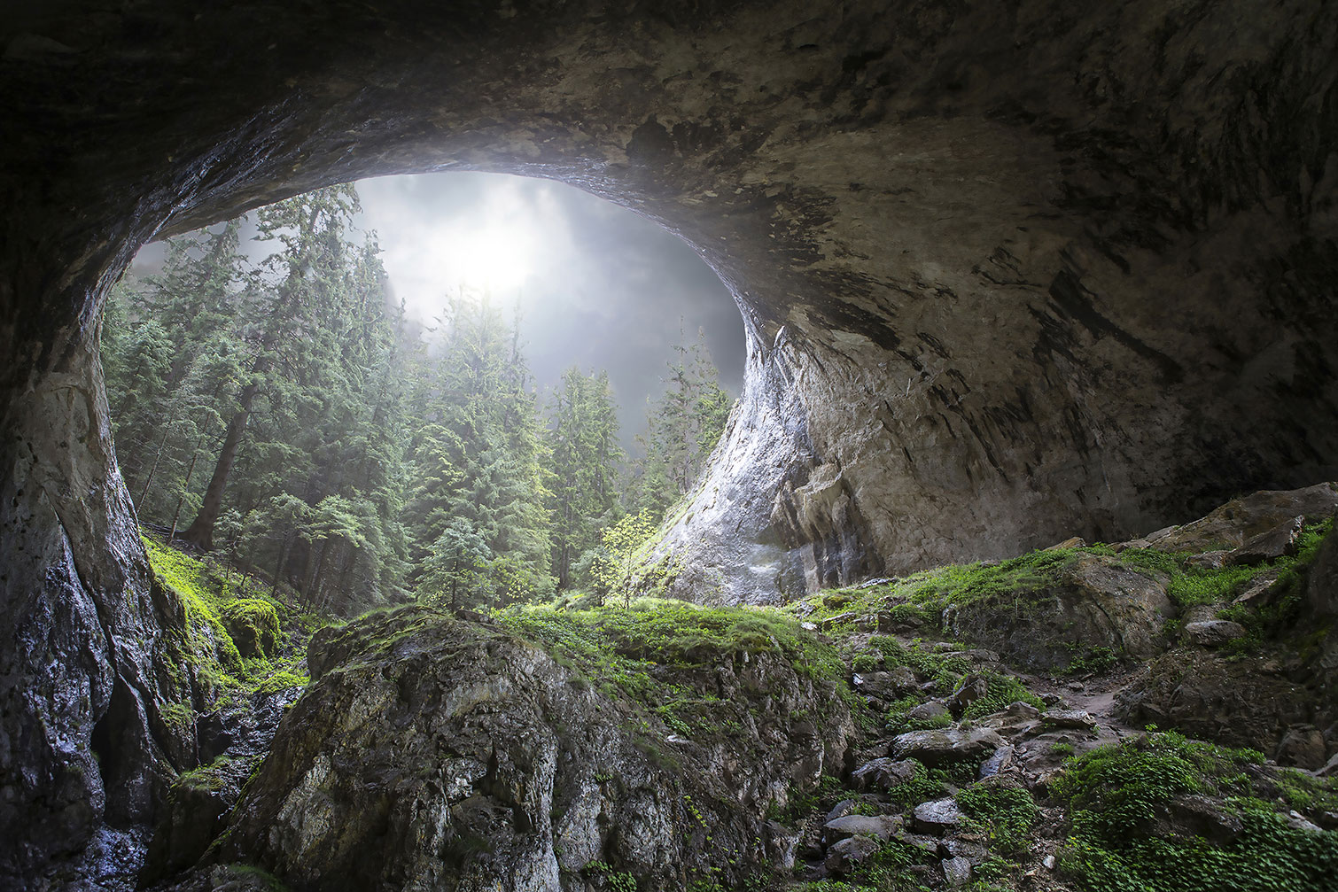 Tableau coup d'oeil au paradis, HEXOA