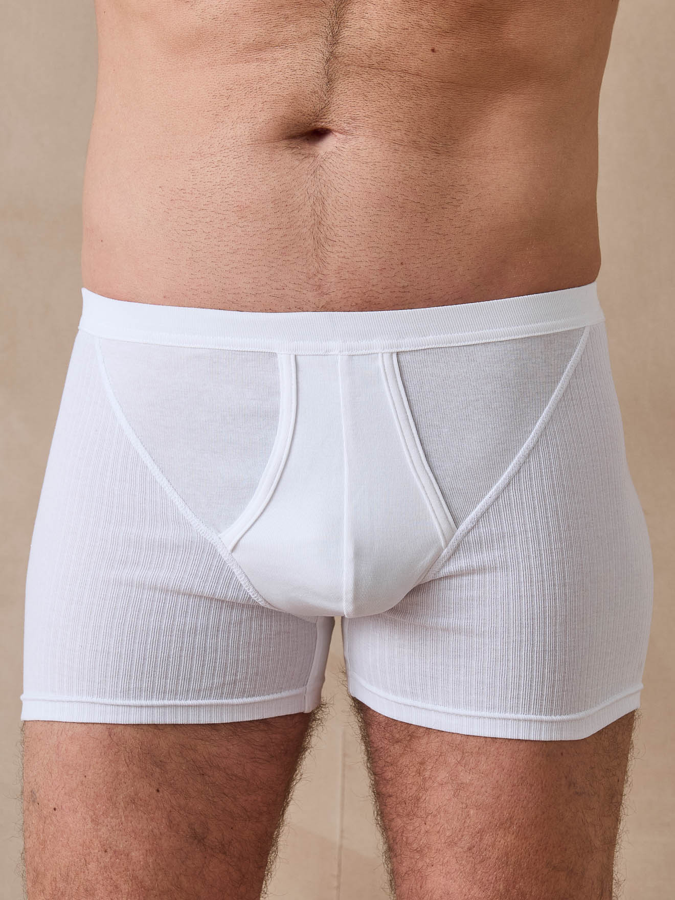 Lot de 4 boxers en coton, DAXON