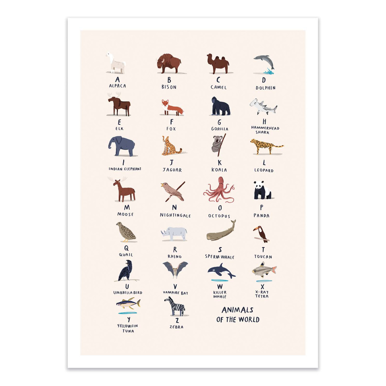 Affiche d'art - Animal Alphabet - Alex Foster, WALL EDITIONS