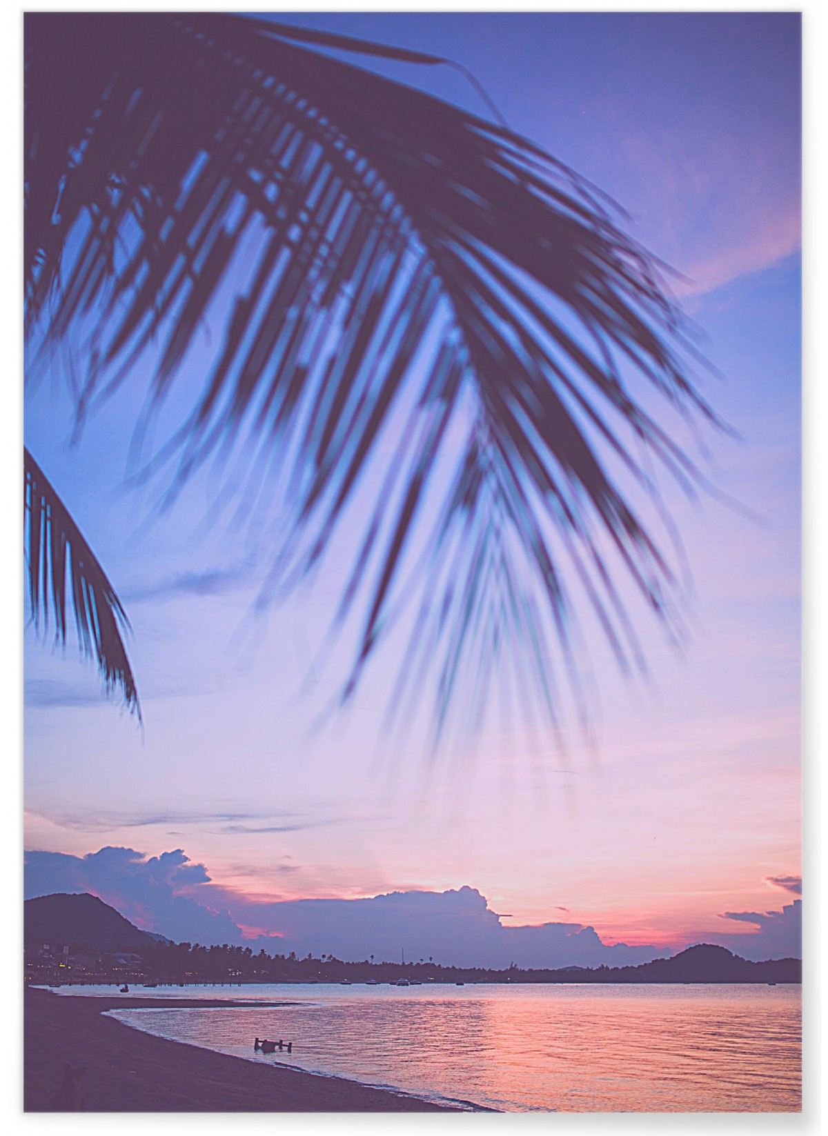 Poster Nature Tropicale 6, L'AFFICHERIE