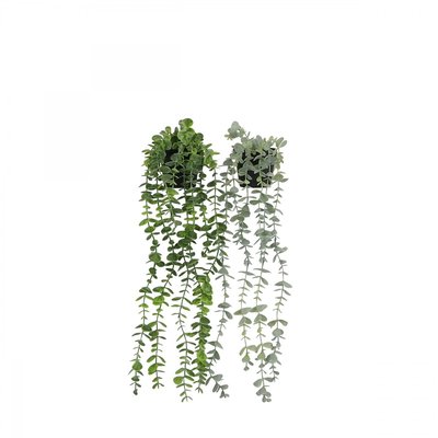 Plante succulente retombante artificielle 50cm lot de 2 LIGNE DECO