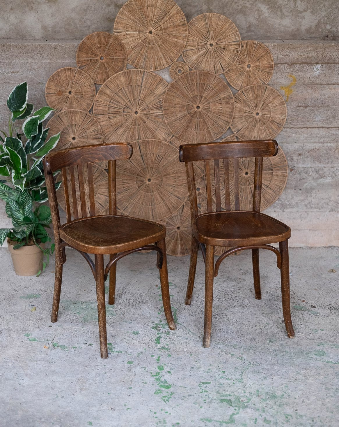 Paire de chaises bistrot Alma N°2043 - Bon état, DEBONGOUT