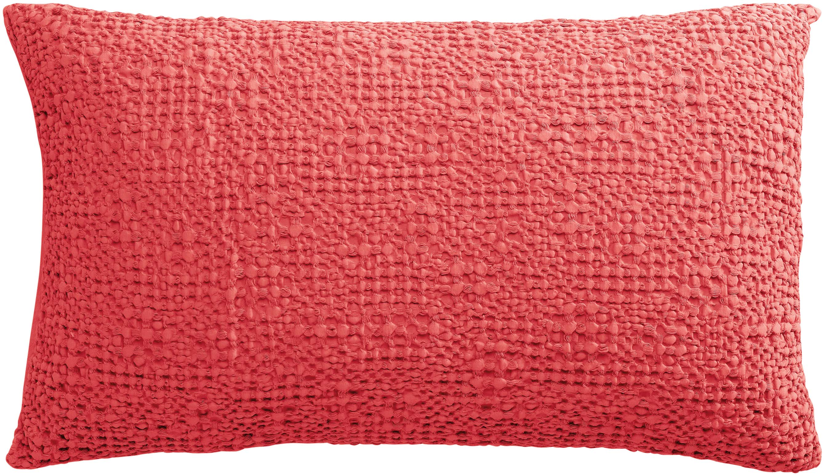 Coussin Aube Poétique, EDEN