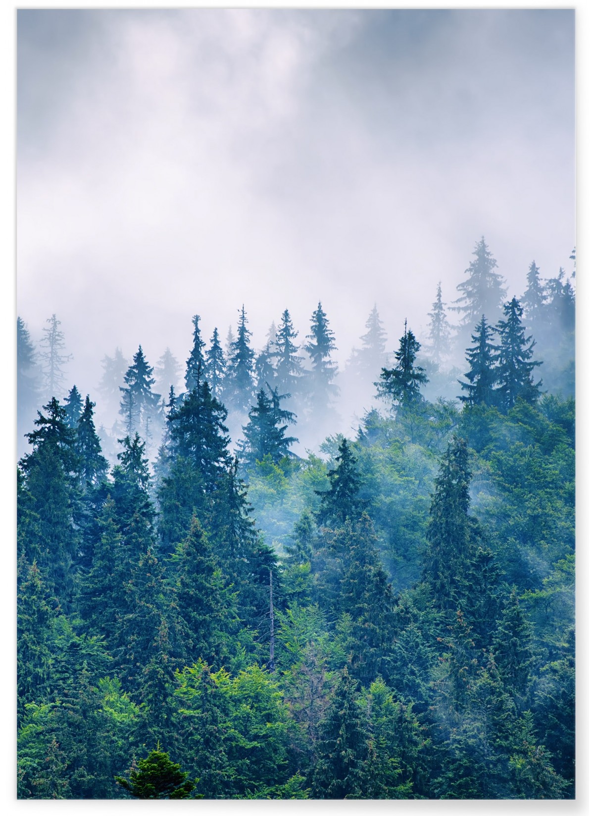 Poster Nature Paysage Montagne Brumeuse, L'AFFICHERIE