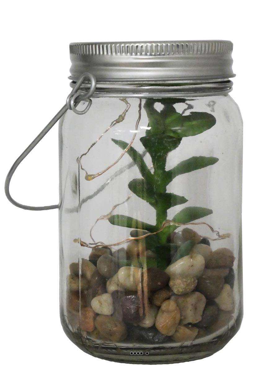 Plante grasse factice cactée en pot de verre, ARTIFICIELLES