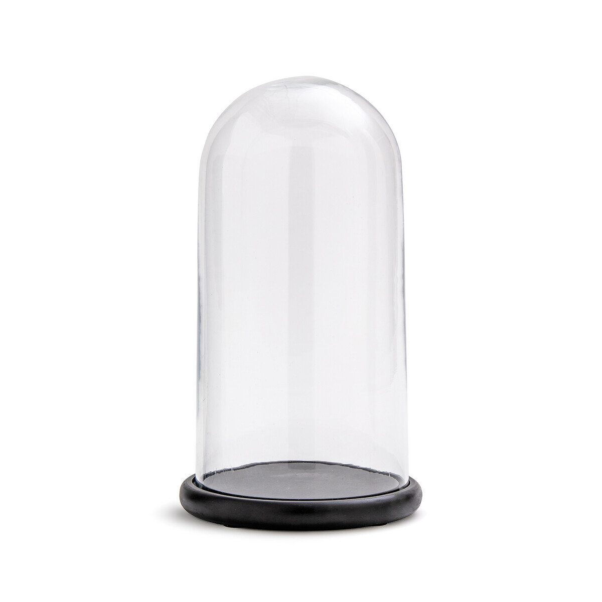 Campa Glass Bell Jar with Black Base