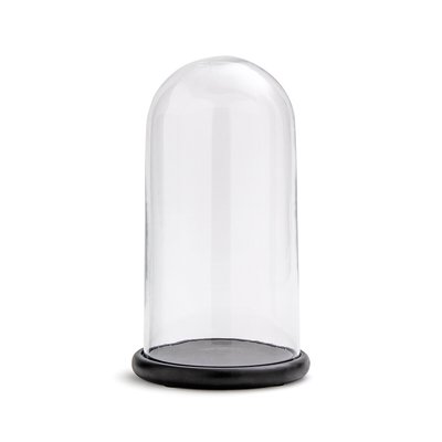 Campa Glass Bell Jar with Black Base LA REDOUTE INTERIEURS