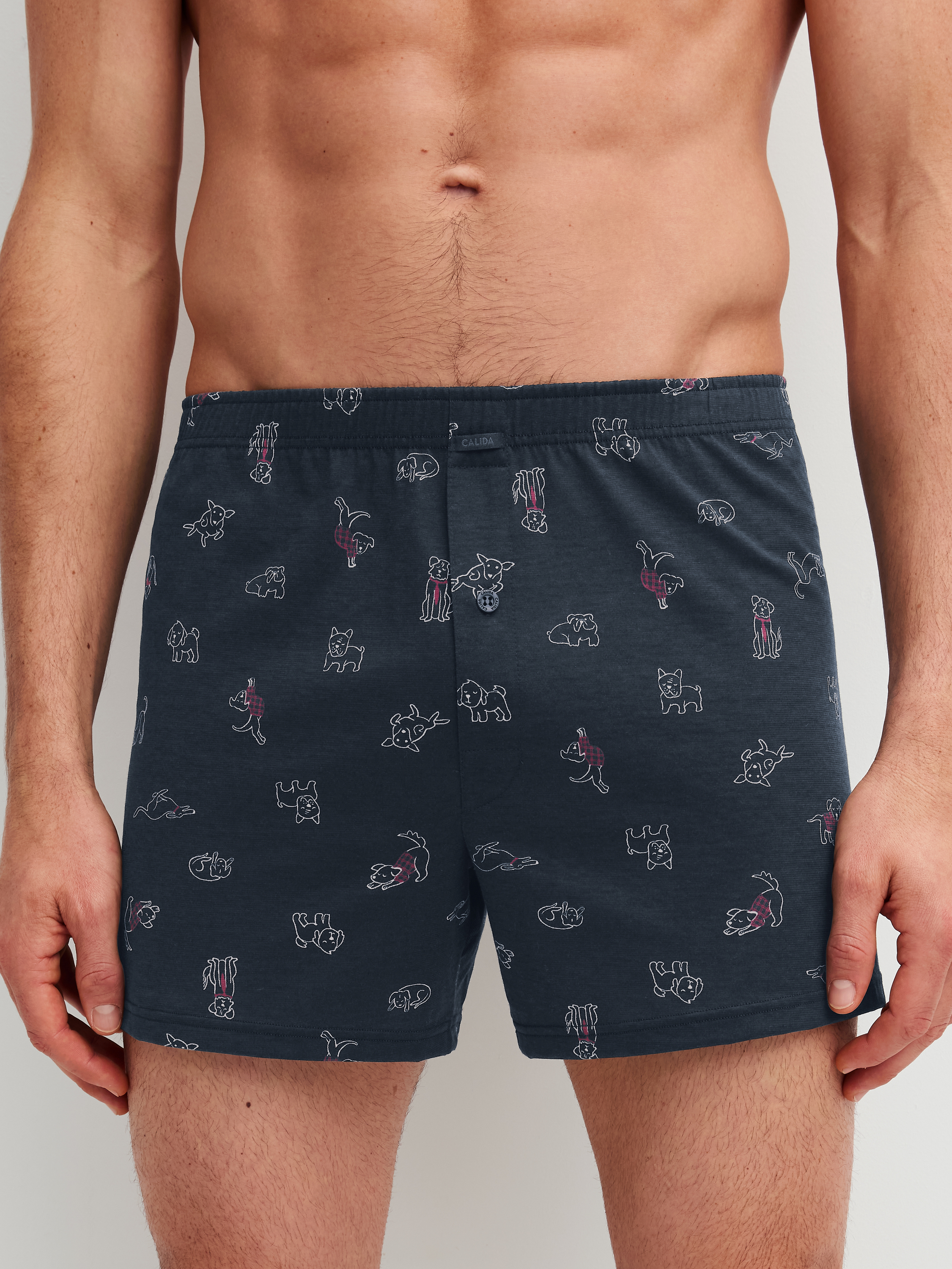 Boxer short Coton FAMILY & FRIENDS, CALIDA