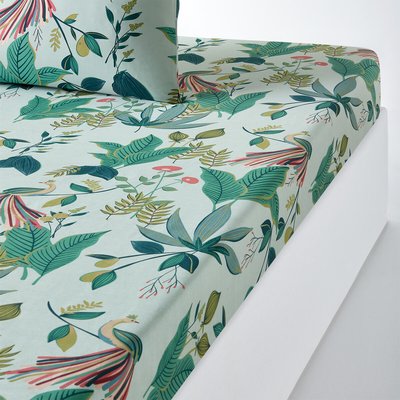 Somerset Tropical Cotton Percale 200 Thread Count Fitted Sheet LA REDOUTE INTERIEURS