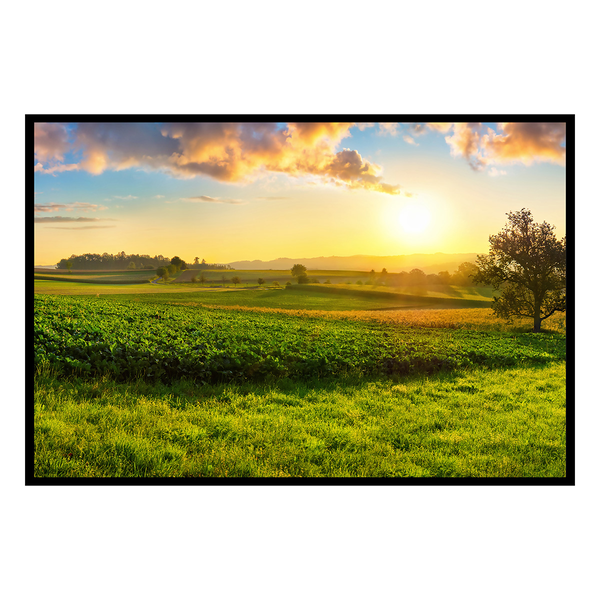 Affiche encadrée campagne au lever du soleil, HEXOA