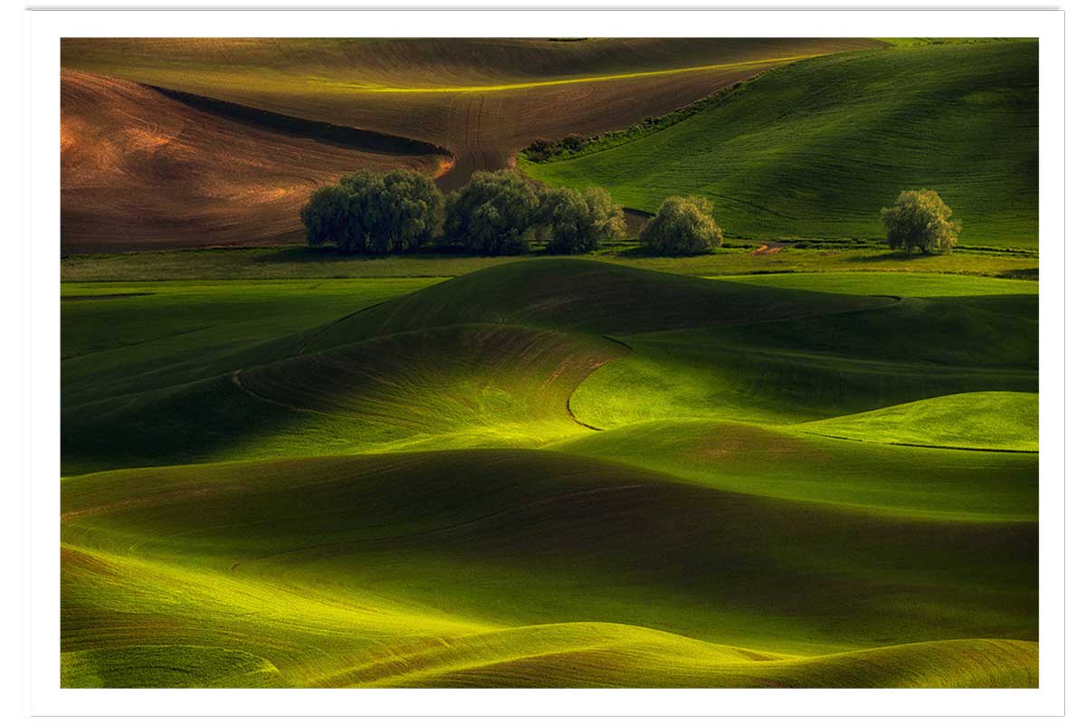 Affiche Colline USA, HEXOA