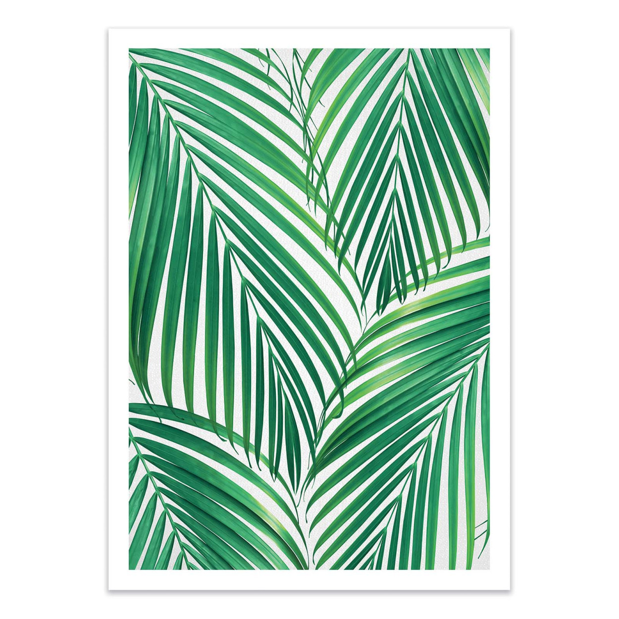 Affiche d'art - Palm leaves - Gal Design, WALL EDITIONS