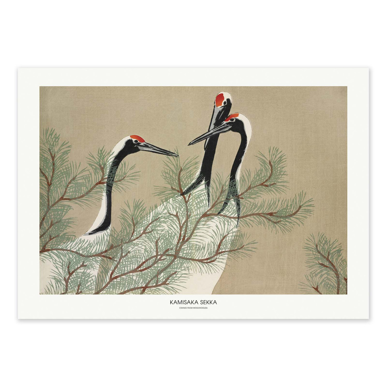 Affiche d'art - Cranes From Momoyogusa - Kamisaka Sekka, WALL EDITIONS