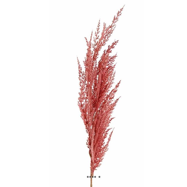 Magnifique fausse herbe de pampa grande tige 100 cm rose - couleur: rose  Artificielles | La Redoute