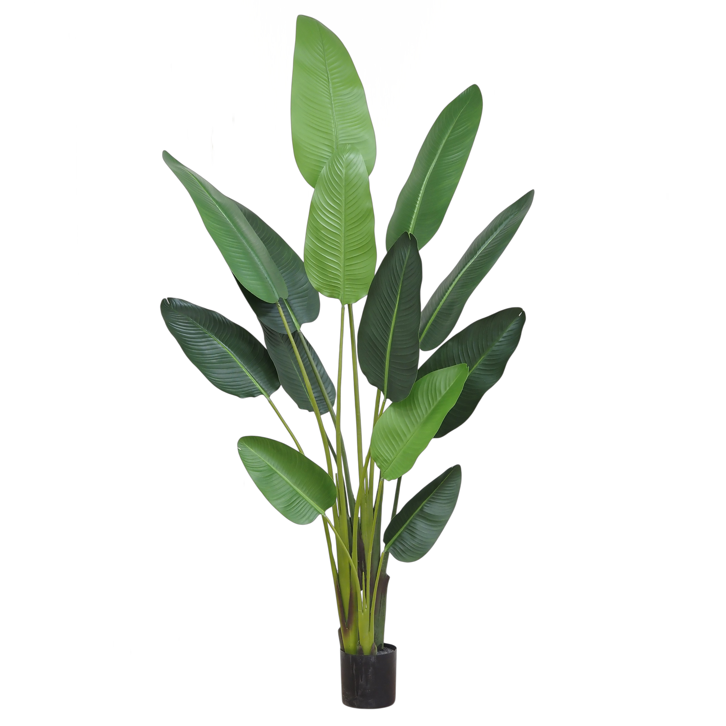 Plante artificielle oiseau du paradis 235cm, LIGNE DECO