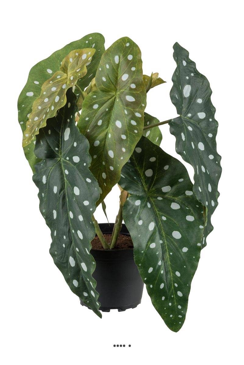 Begonia Maculata artificiel en pot, H 30 c, ARTIFICIELLES