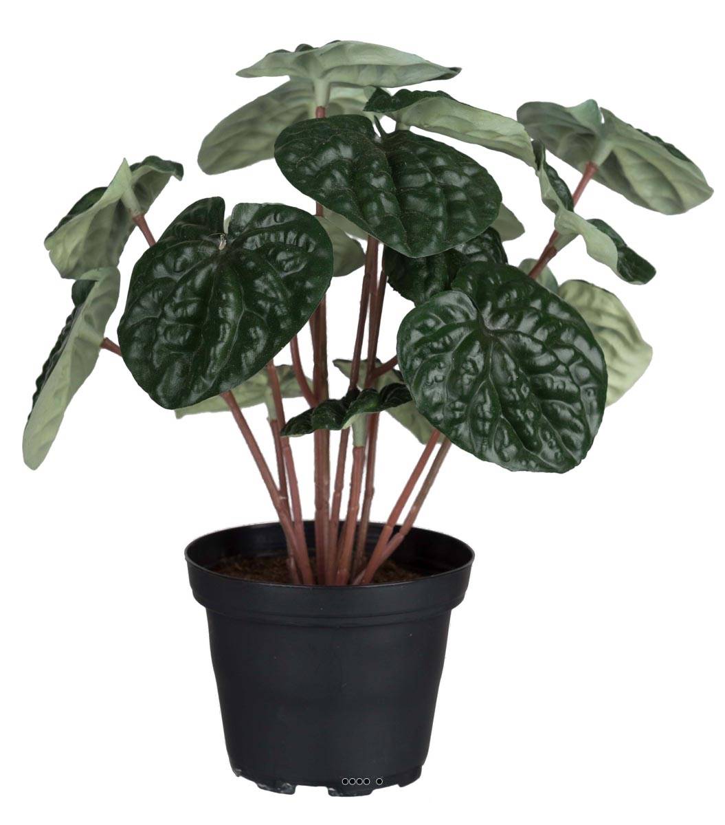 Peperomia plante factice en pot lesté H20cm, ARTIFICIELLES