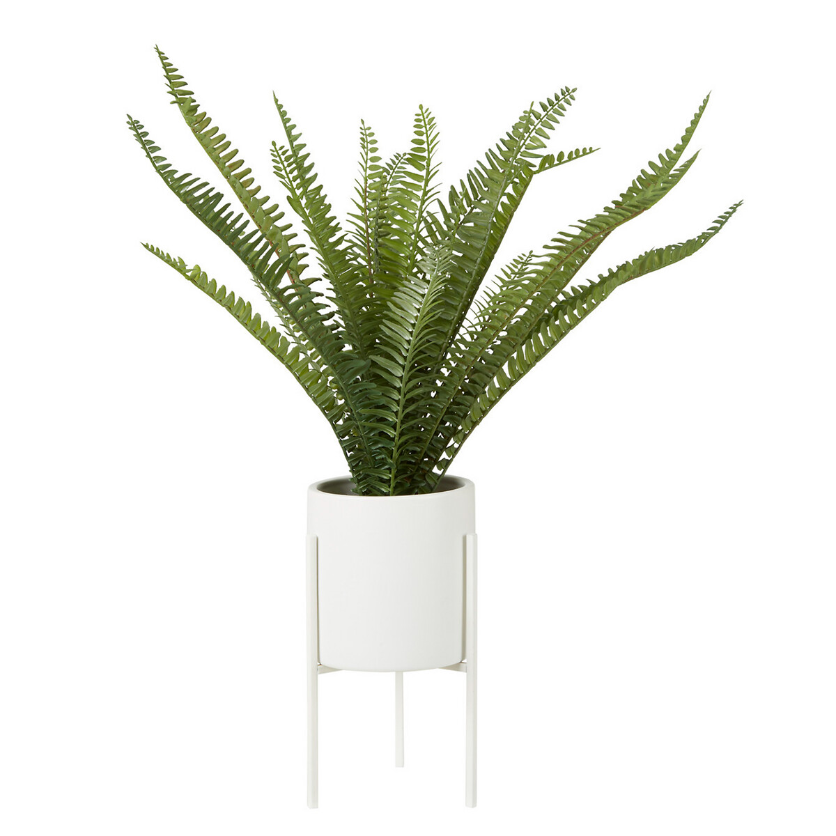 56cm Fern in White Cement Pot with Iron Stand, ÉDITÉ