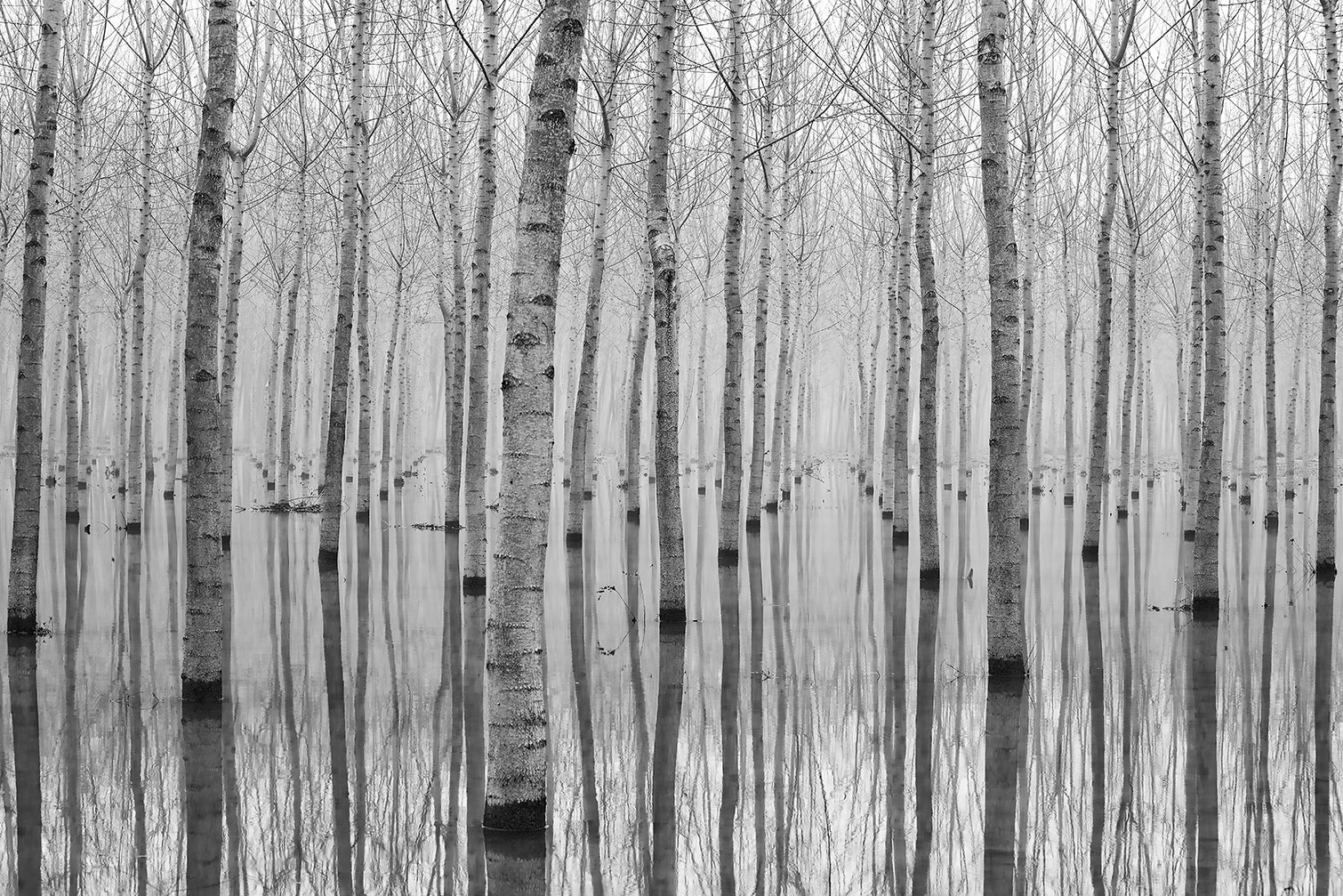 Tableau nature automnale pieds dans l'eau, HEXOA
