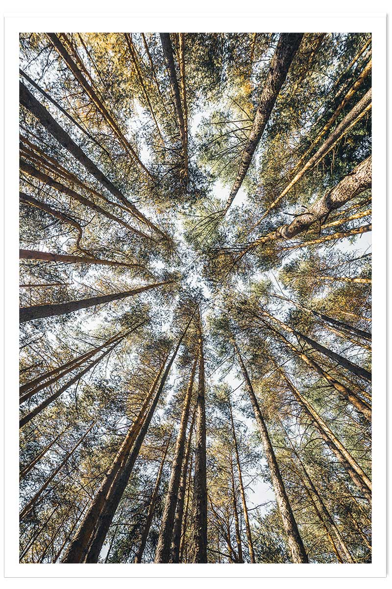 Affiche nature perspective des cîmes, HEXOA