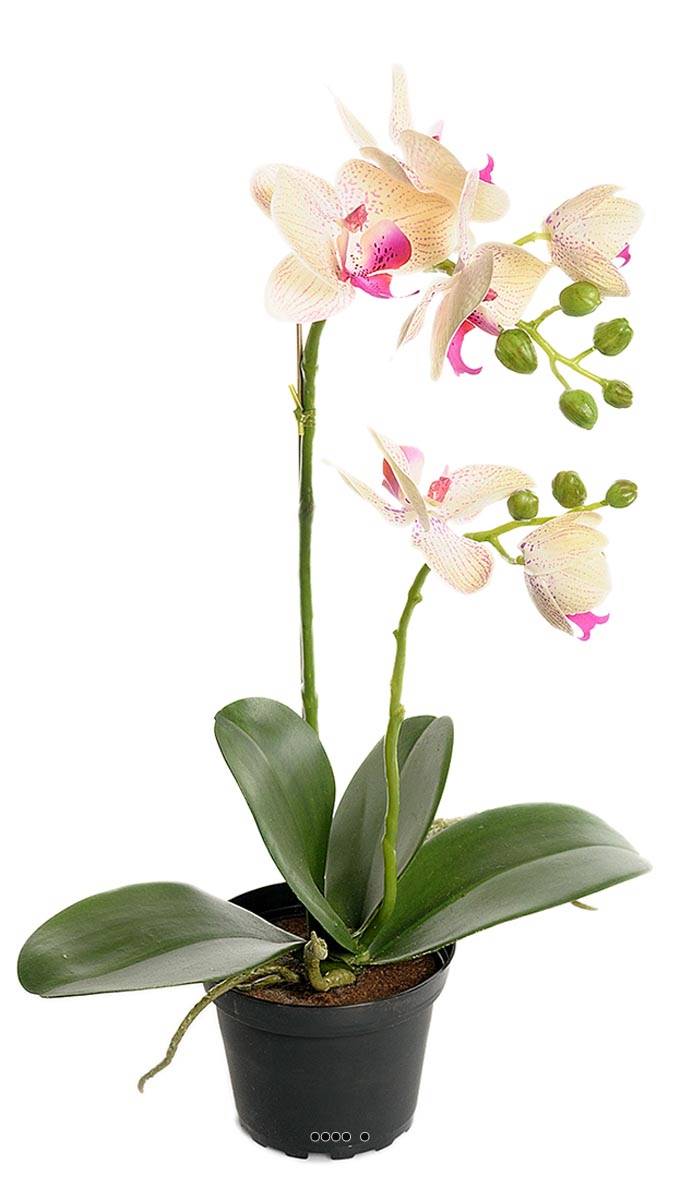 Orchidee artificielle 2 hampes en pot H 40 cm, ARTIFICIELLES