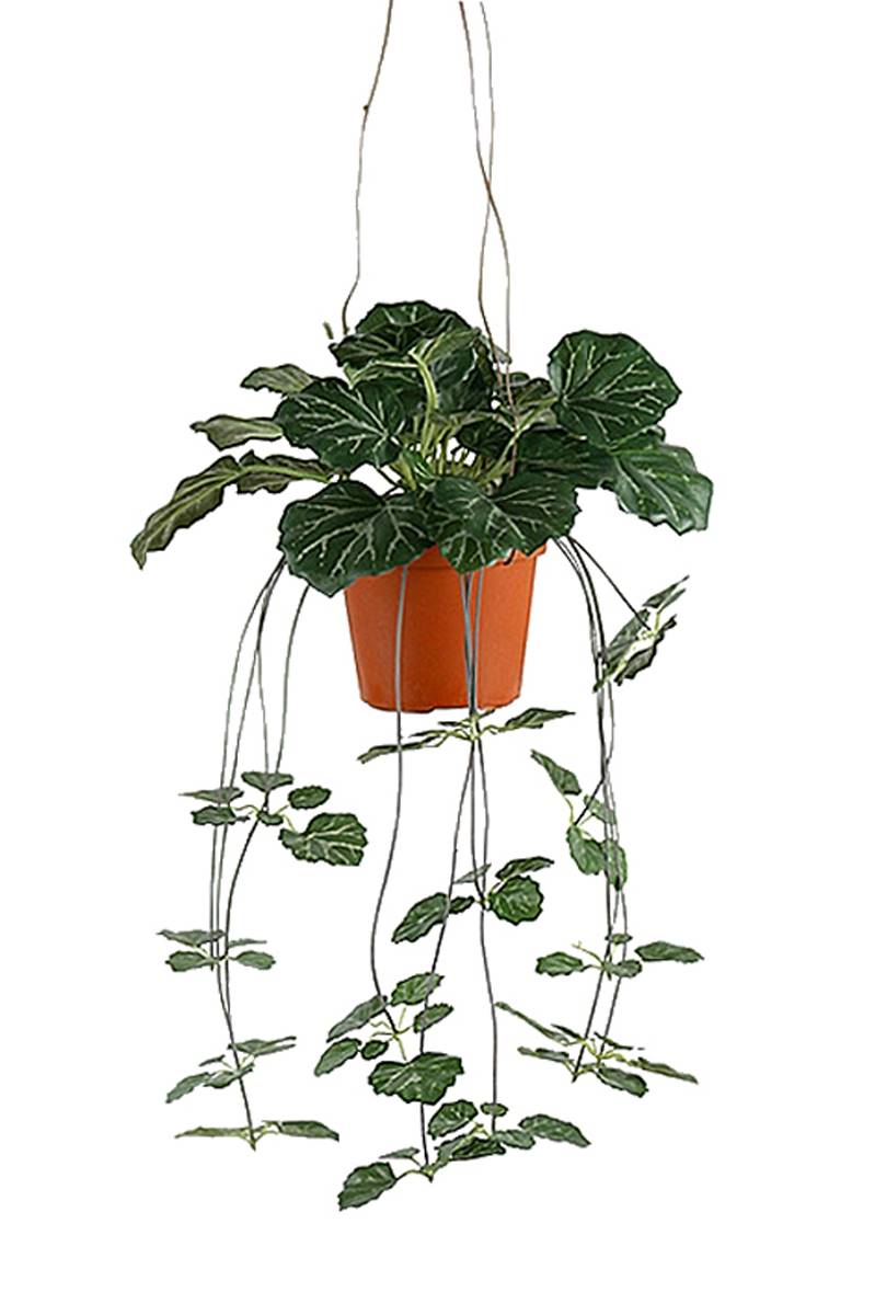 Saxifrage artificiel retombant en pot suspendu, L 35 cm, D 23 cm, ARTIFICIELLES