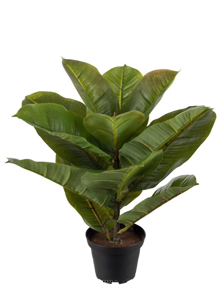 Ficus robusta artificiel en pot, H 30 c, ARTIFICIELLES