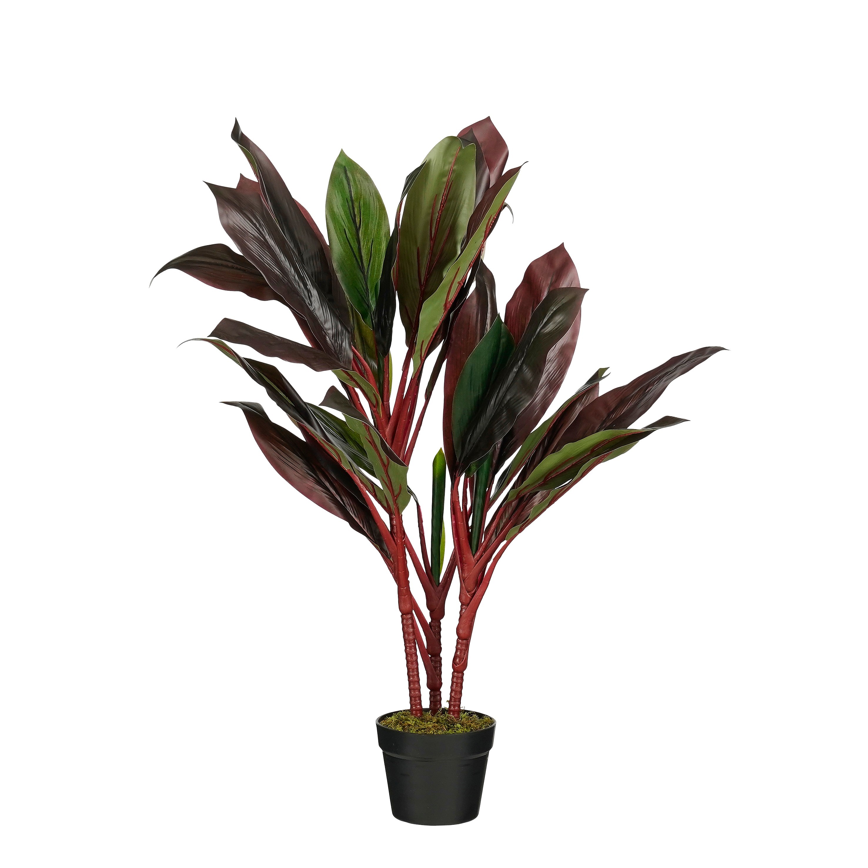 Plante artificielle CORDYLINE, MICA DECORATIONS