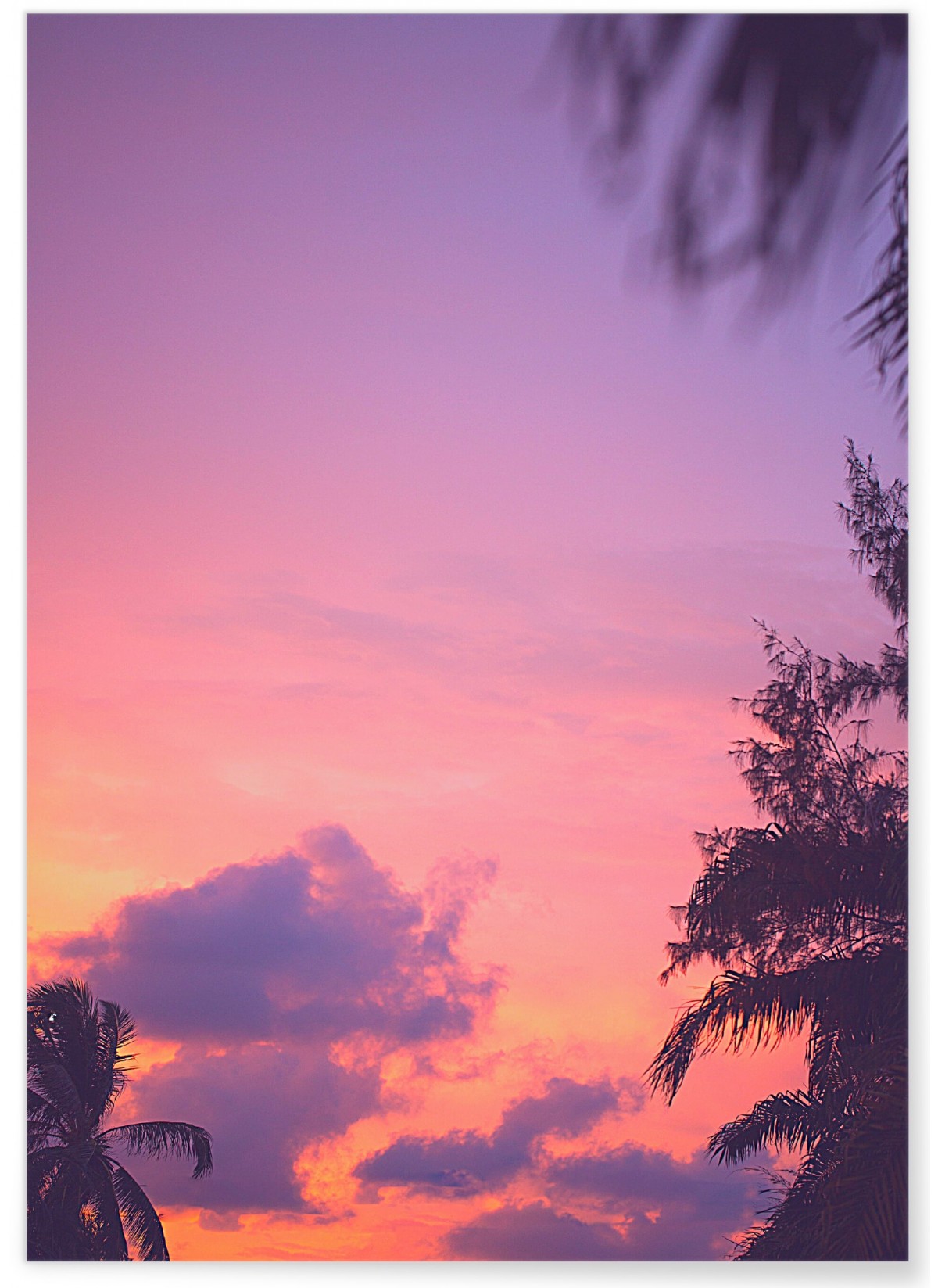 Poster Nature Ciel Rose 1, L'AFFICHERIE