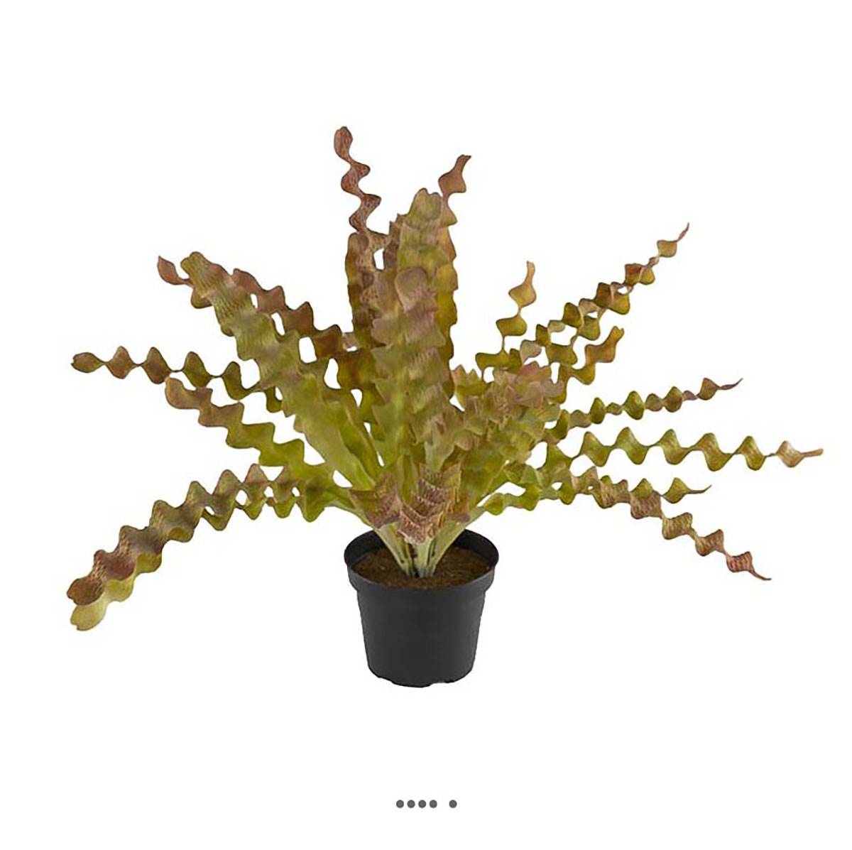 Fougère asplenium artificielle plastique, ARTIFICIELLES