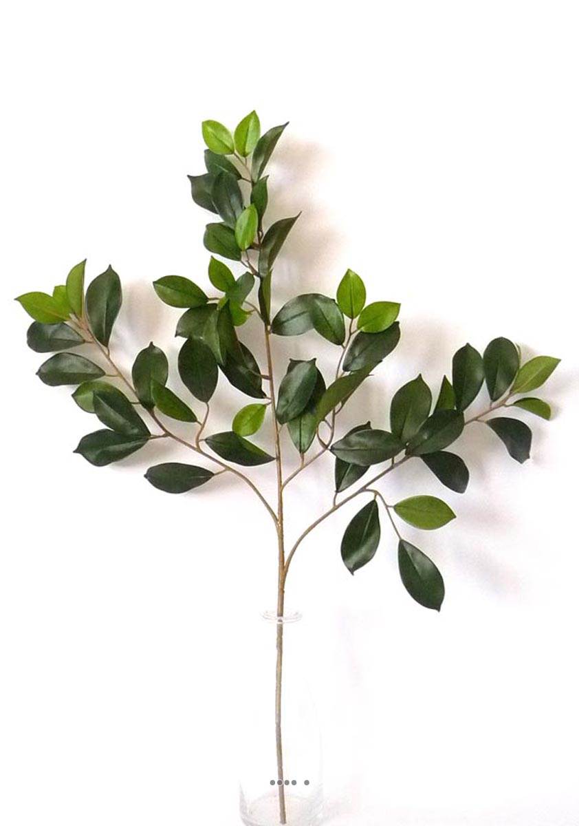 Branche de ficus artifiel Retusa H 65 cm, ARTIFICIELLES