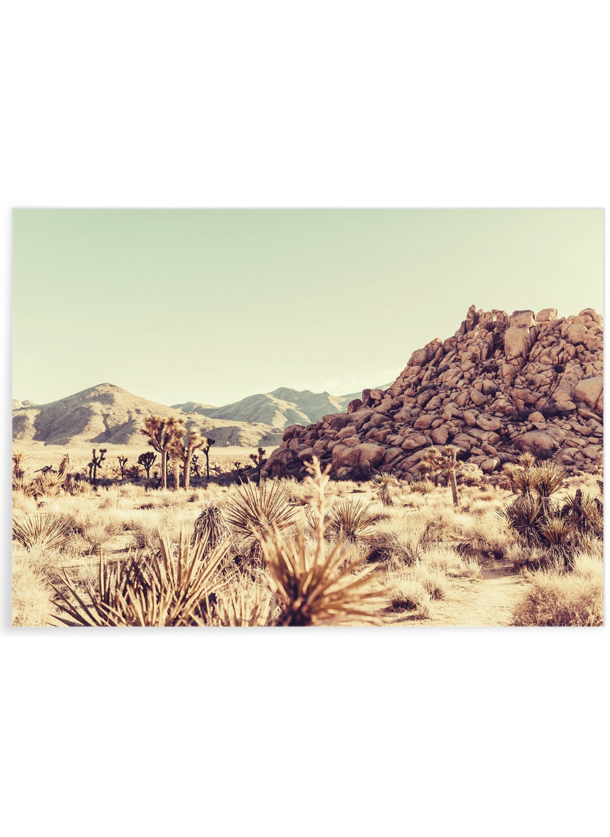 Poster Nature Desert 6, L'AFFICHERIE