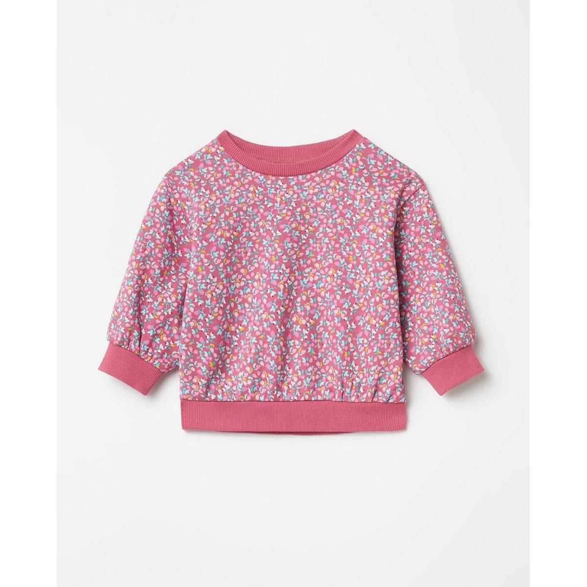 Sfera body sales bebe