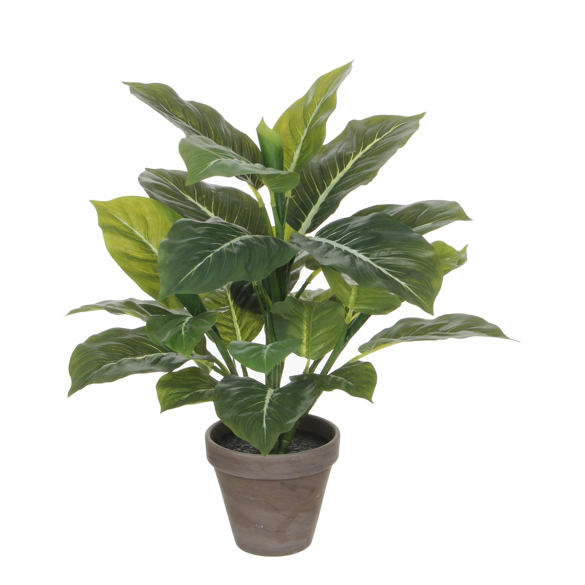 Plante artificielle EVERGREEN, MICA DECORATIONS