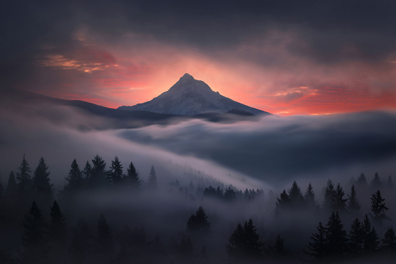 Tableau Brume en Oregon, HEXOA