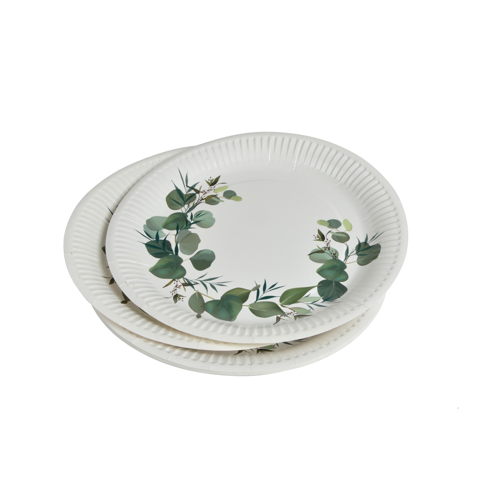 10 assiettes en carton 23 cm Branche d'eucalyptus, EDEN