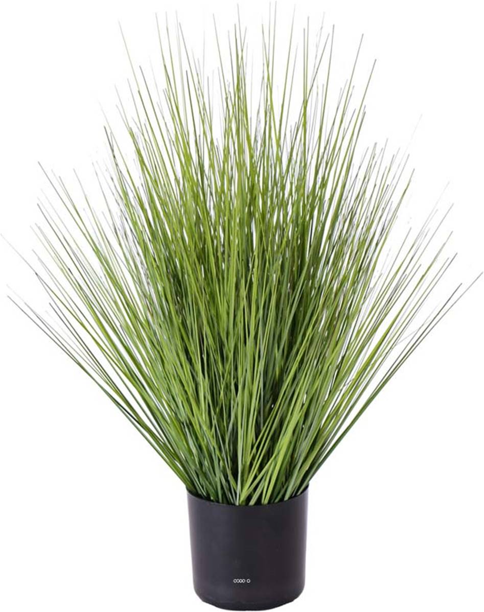 Isolepsis Herbes Graminees artificielles Vert, ARTIFICIELLES