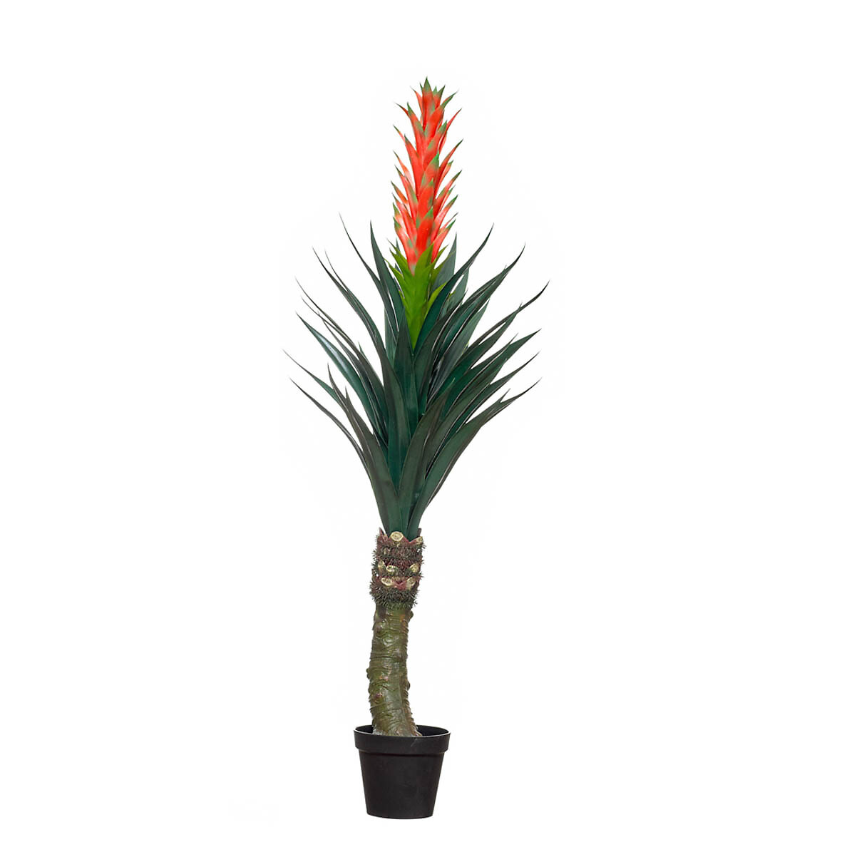 Planta artificial "Sisal" 160cm, BORGHESI, BORGHESI