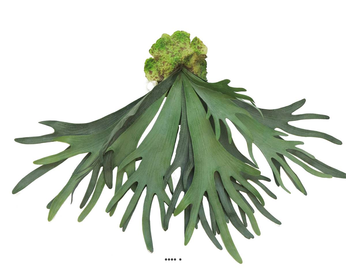Fougère Platycerium factice socle imitation, ARTIFICIELLES