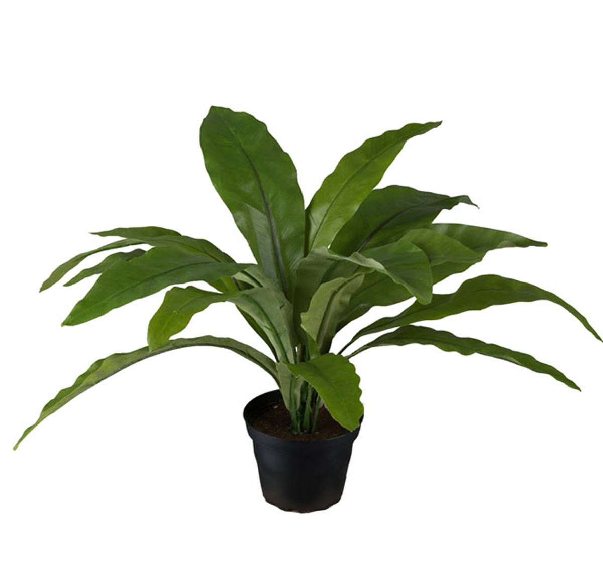 Fougère asplenium artificielle H 30 cm, D 3, ARTIFICIELLES