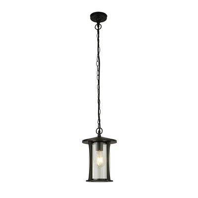 Outdoor Black Pendant Light with Clear Glass SO'HOME