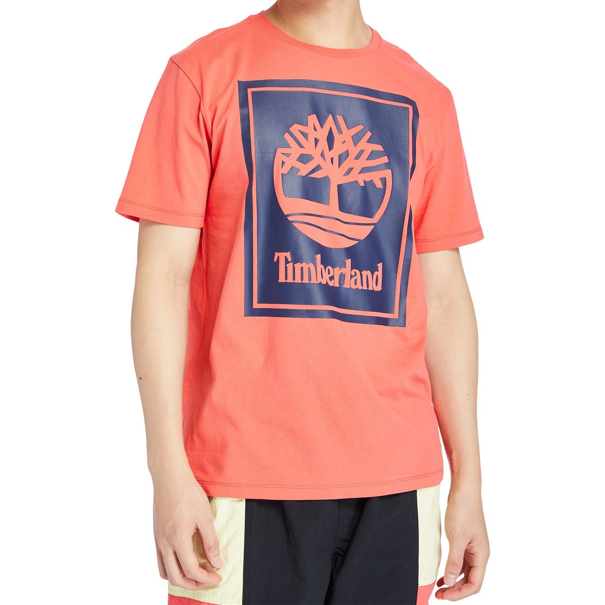 T shirt homme 2025 timberland