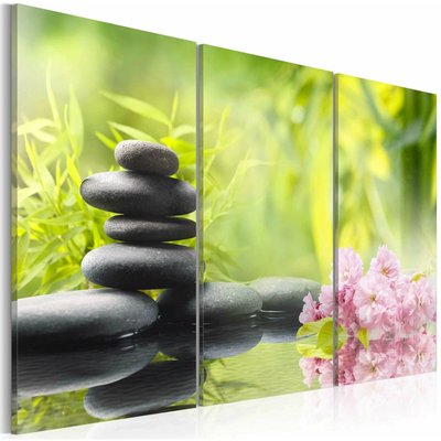 Tableau - Zen composition: bamboo, orchid and stones [120x40]