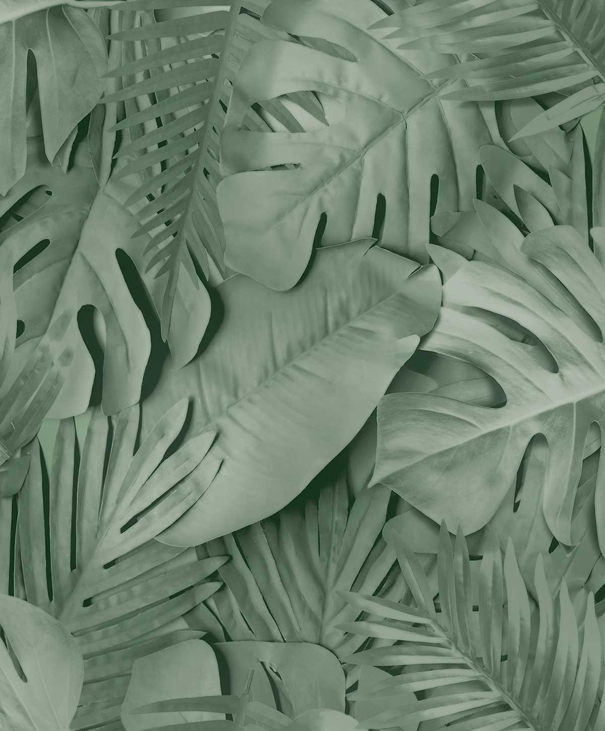 Papier peint feuillage tropical vert profond, HEXOA