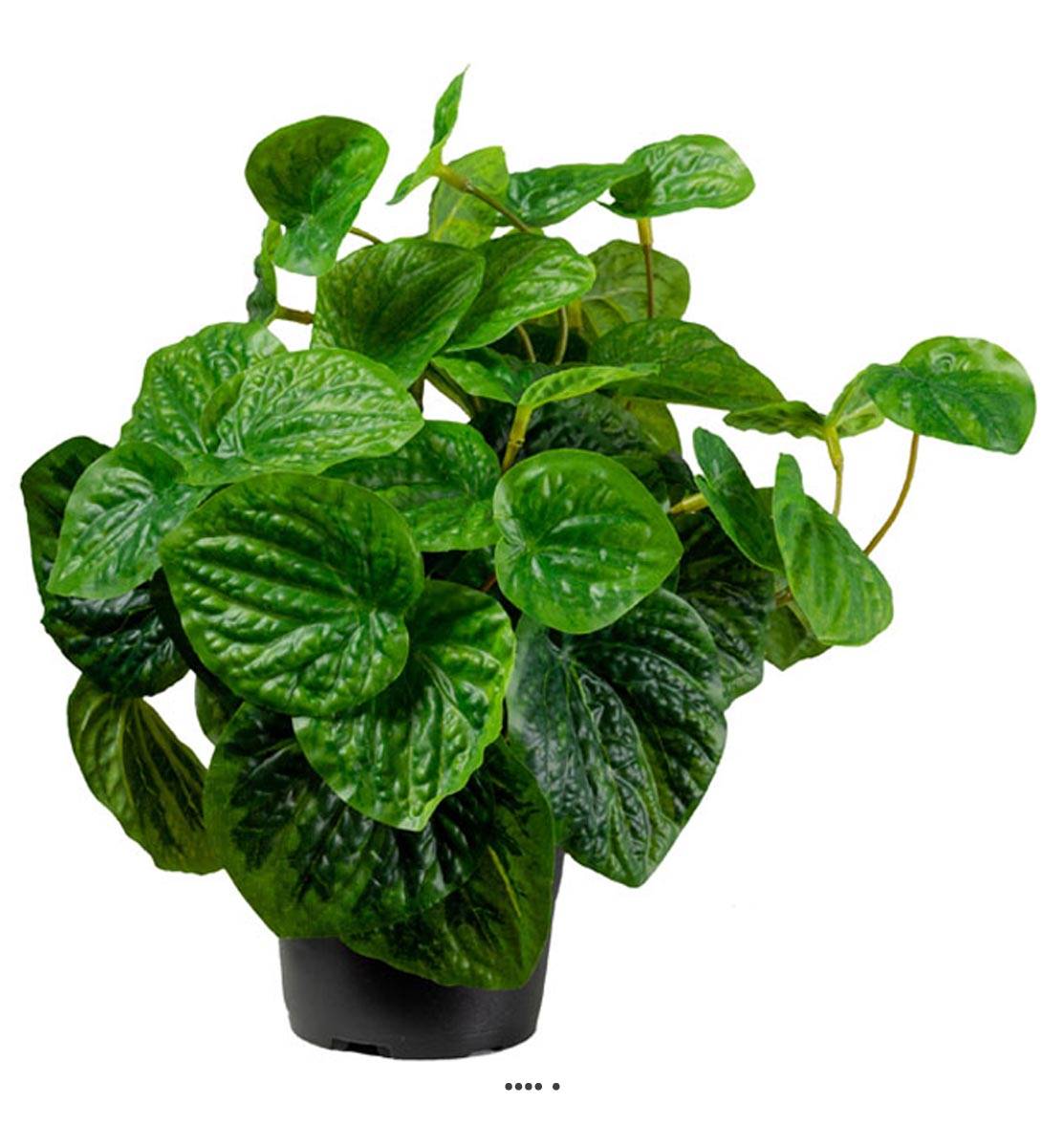 Peperomia plante verte factice en pot H25cm, ARTIFICIELLES