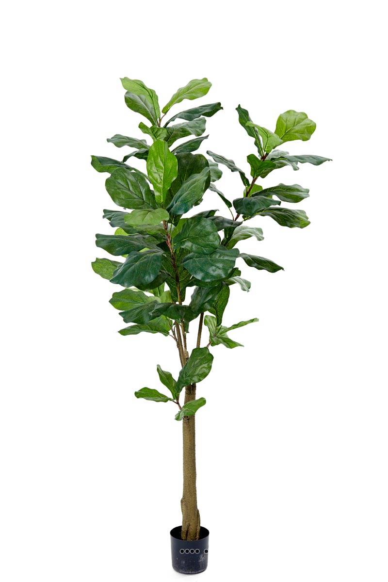 Ficus Lyrata tronc PE en pot Figuier art, ARTIFICIELLES