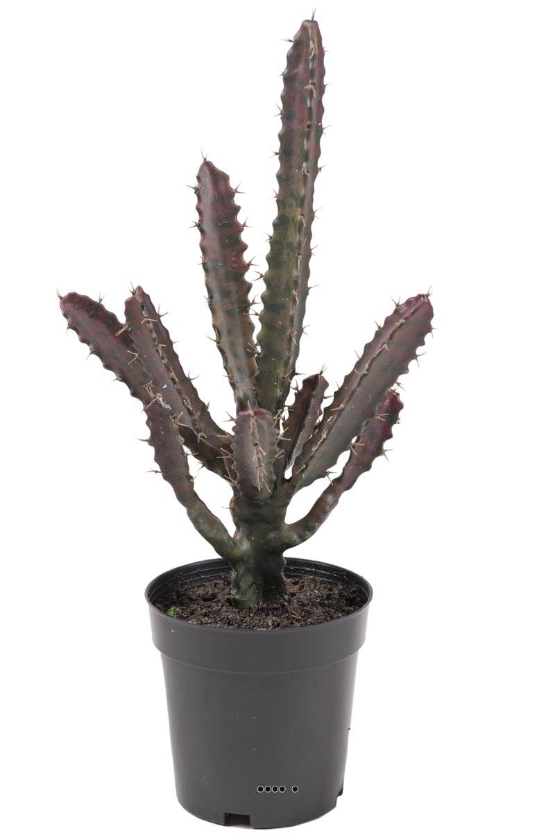 Cactus Euphorbe factice en pot Vert-Rouge Top, ARTIFICIELLES