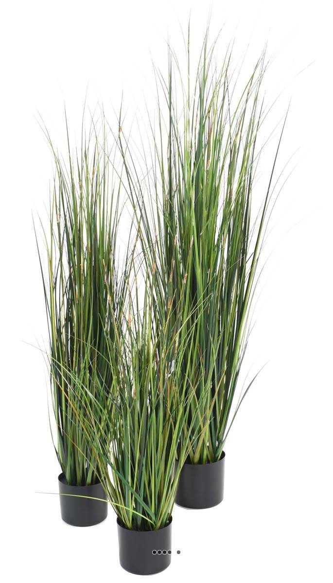 Graminée en pot artificielle Herbe à oignon b, ARTIFICIELLES