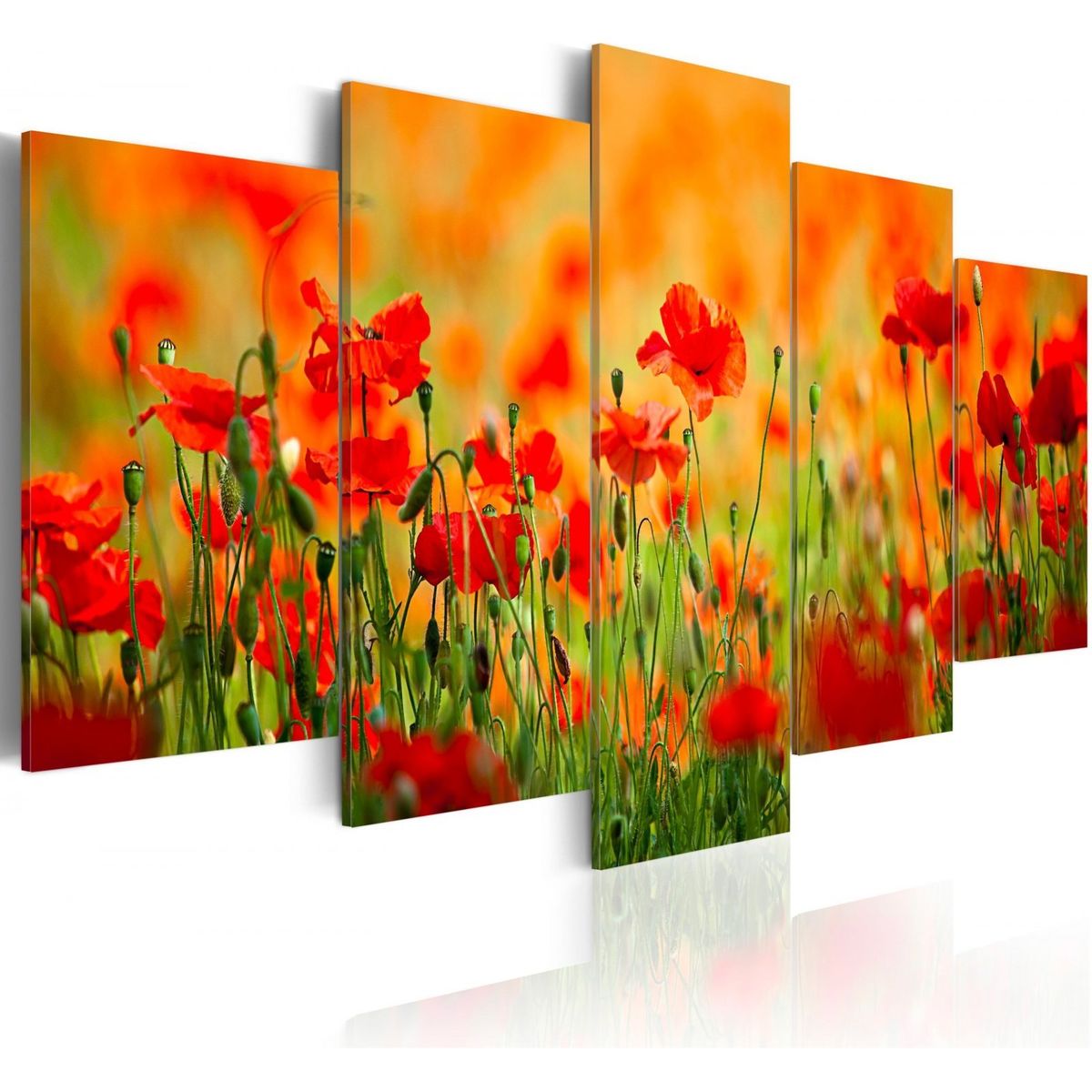 Photo sur toile Image Tableau Impression 100x50 Floral Coquelicots 